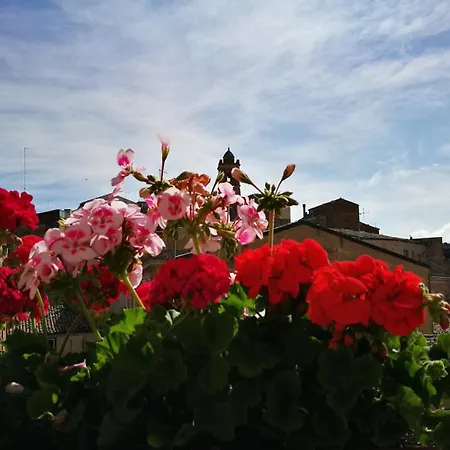 L'angelica Piazza Armerina